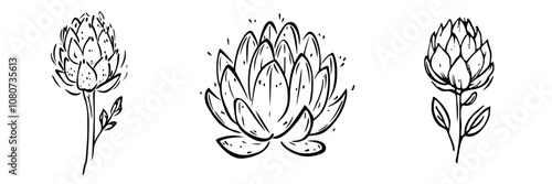 The artichoke silhouette stencil template is a hand-drawn modern clipart image