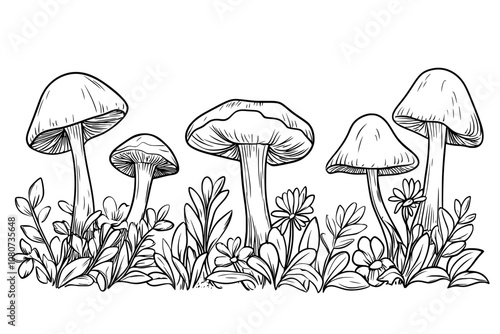 Intricate and detailed black and white botanical illustration of various flowers and plants.