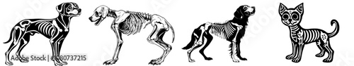 A skeleton of a dog animal silhouette in modern art