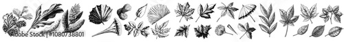 An illustration of wind blowing and gusting isolated on a white background. Hand drawn illustration in modern style.