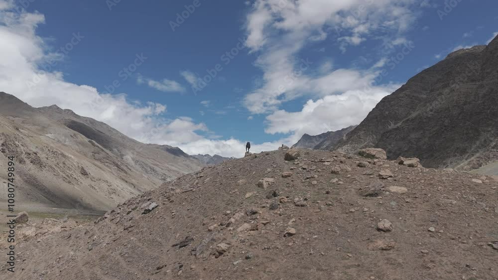 Aerial Drone shot of a man standing on the cliff of a mountain in Ladakh. Aerial Drone shot of a man standing on the cliff of a mountain in Ladakh.