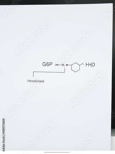 Synthesis of Glucose 6 phosphate (G6P) from glucose via Hexokinase diagram, molecular skeletal structure diagram on on white background. photo