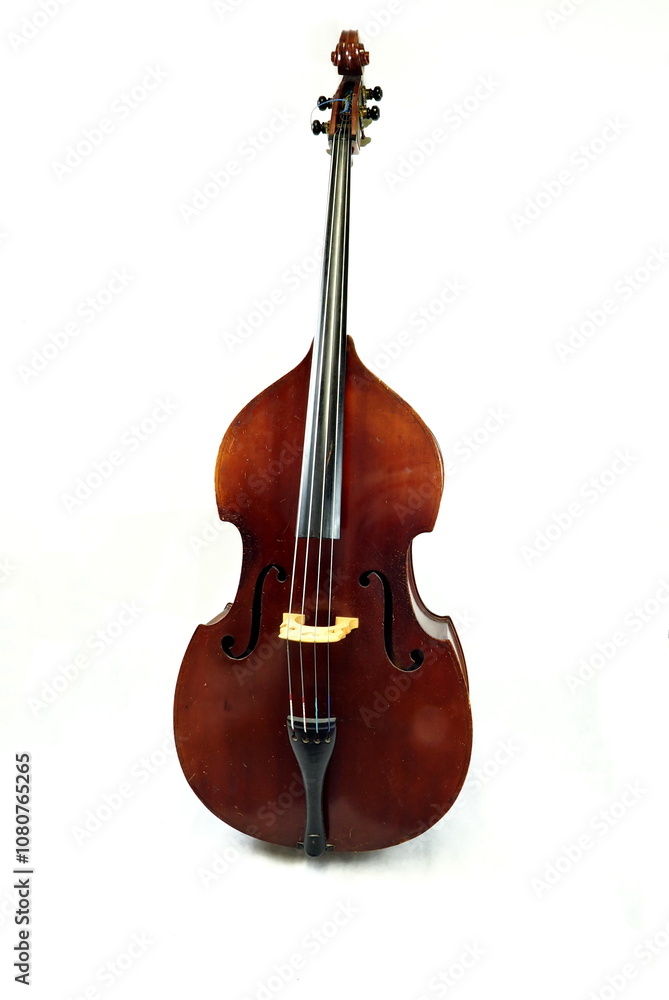 Obraz premium German double bass close up.