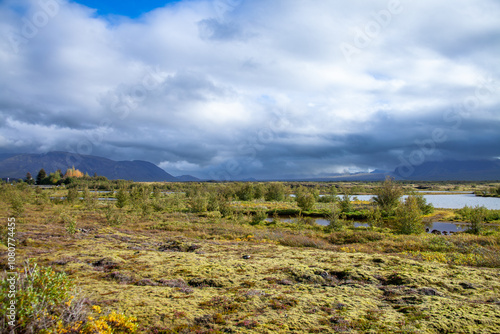 Green Meadow in Iceland with Dramatic Clouds