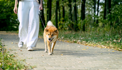 woman walking with dog in nature