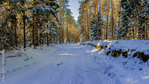 Fototapeta Naklejka Na Ścianę i Meble -  Zima w lesie na Mazurach.