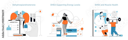 DHEA Supplement. Flat Vector Illustration