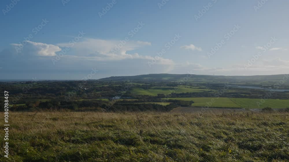 Aerial view of grass flowing down with the air and huge mountains in the background and blue sky Aerial view of grass flowing down with the air and huge mountains in the background and blue sky