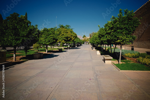 Tranquil Pathway in a Park