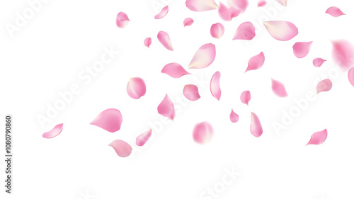 Rose petals or sakura flying petals, romantic background with realistic pink cherry flower petals flow or falling motion. Love, romance, floral spring season,cherry blossom