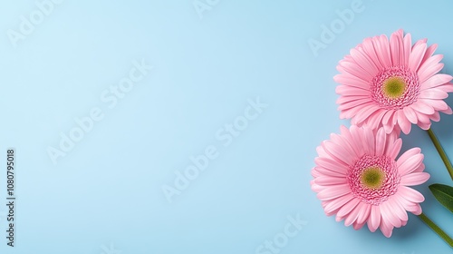 Delicate pink flowers decorate a blank card mockup on a soothing pastel background in a serene flat lay composition