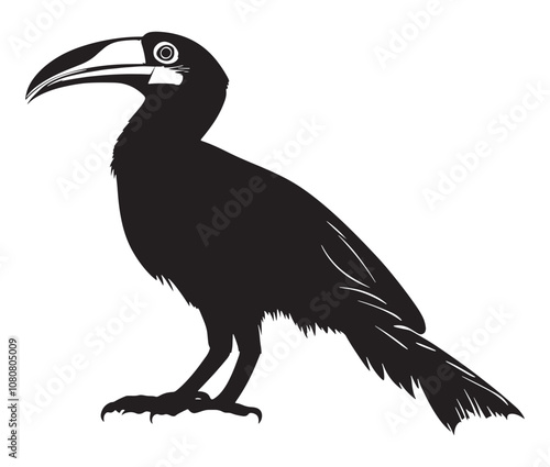 Hornbill bird isolated on white background, Silhouette of a hornbill animal bird vector photo