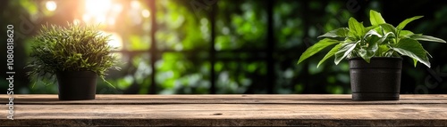 Two potted plants sit on a wooden table with soft, natural sunlight filtering through a blurred green background, ideal for garden blogs, home decor, or sustainability themes,