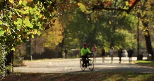 Wallpaper Mural Central Park NYC Fall Leaves Changing Color Torontodigital.ca