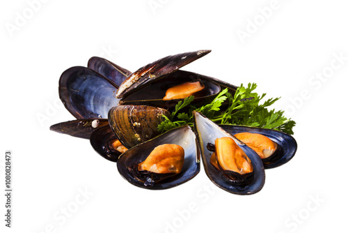 Mussels on the isloated photo