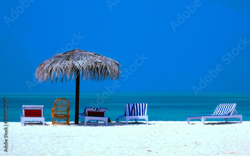lounge chairs on the beach