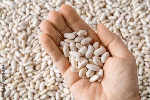 Raw white beans on a woman handpalm. Handful of dry kidney beans in a person hand. Concept of harvesting, organic farm products, vegetarian protein, vegan food ingredient. photo