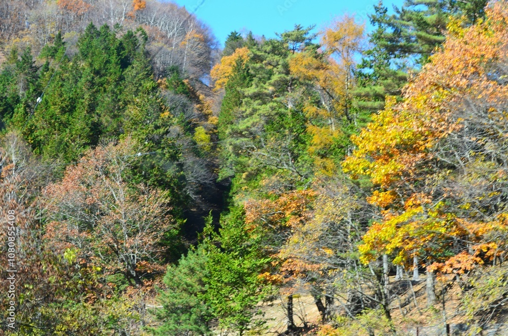 autumn landscape in the mountains autumn landscape in the mountains