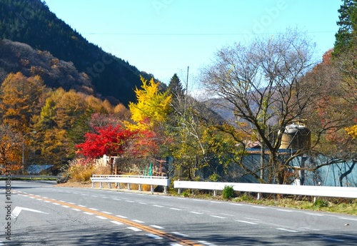 autumn landscape in the mountains