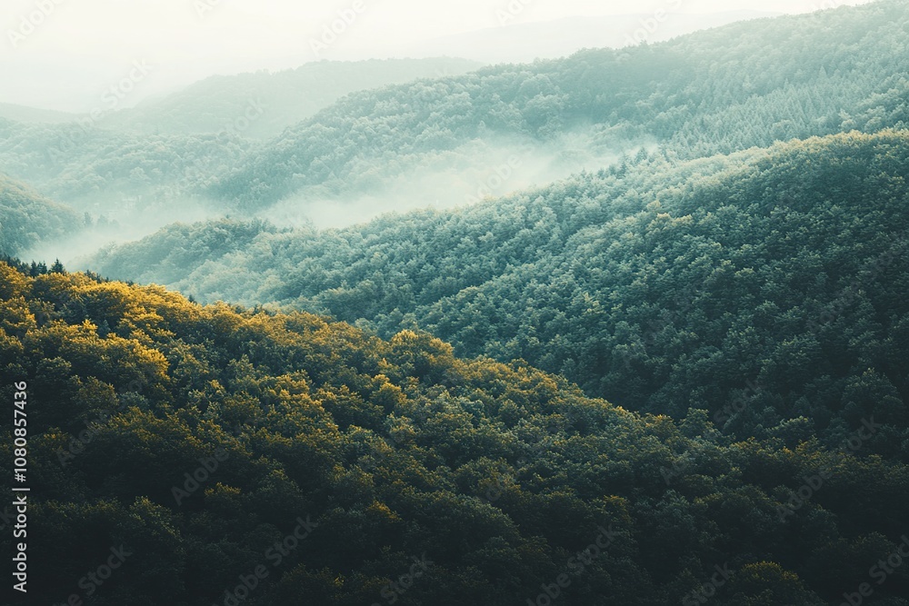 Explore the breathtaking beauty of lush green hills and misty forests for nature enthusiasts Explore the breathtaking beauty of lush green hills and misty forests for nature enthusiasts