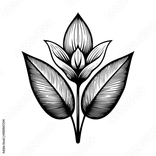 Simple Vector Icon of a Brazil maranta flower plant – Logo Design Illustration