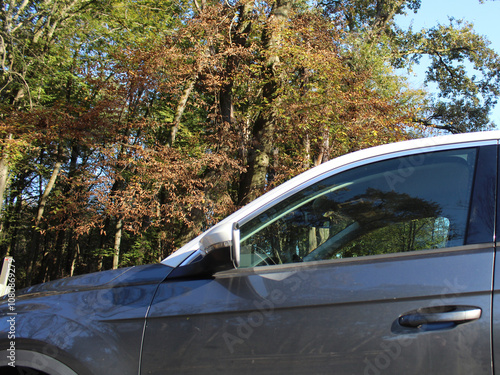 Viaggiare in automobile nel bosco in autunno photo