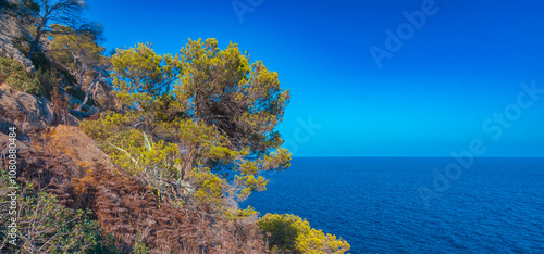 Panoramic View from Cap del Pinar Viewpoint, Son Servera Sea Coast, Mediterranean Sea, Mallorca, Balearic Islands, Spain, Europe photo