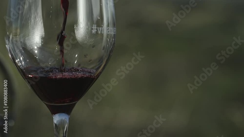 red wine in a glass