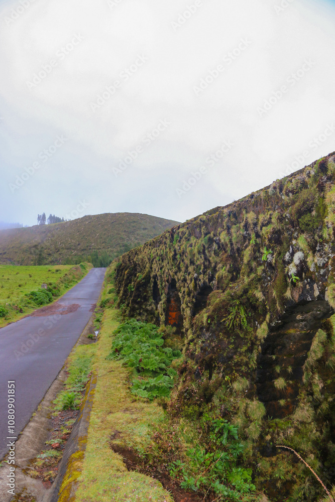 Naklejka premium Road in the countryside close to an old aqueduct - Azores island