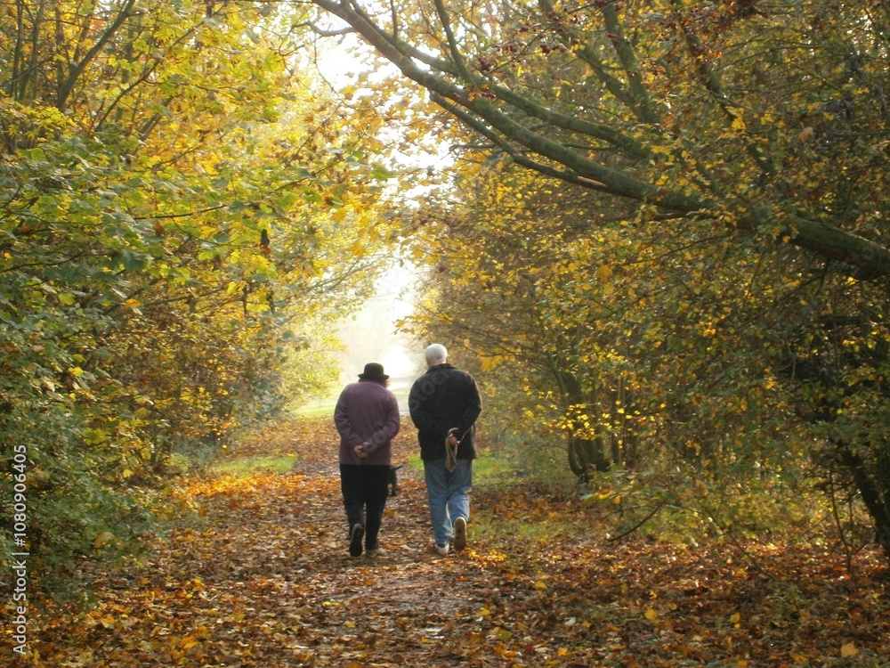 A footpath in autumn with two people walking away into the distance A footpath in autumn with two people walking away into the distance