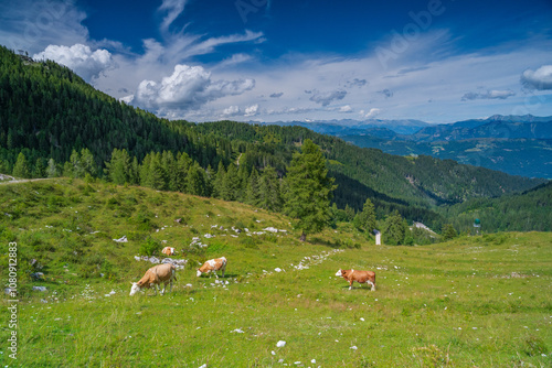 Blick ins Gailtal, Kärnten, Österreich