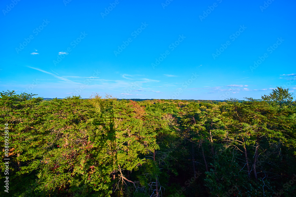 Fototapeta premium Aerial of Lush Forest Canopy in Fall Hocking Hills Ohio