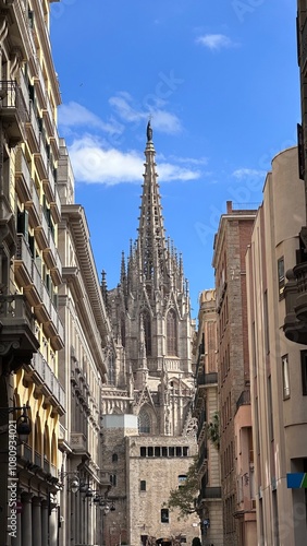 the marvellous Cathedral of Barcelona photo