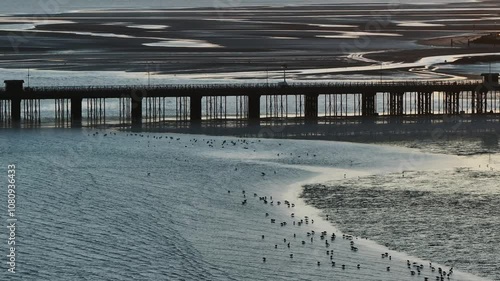 Wallpaper Mural Bridge in the sea and sea water level decreased showing the land of sand below it Torontodigital.ca