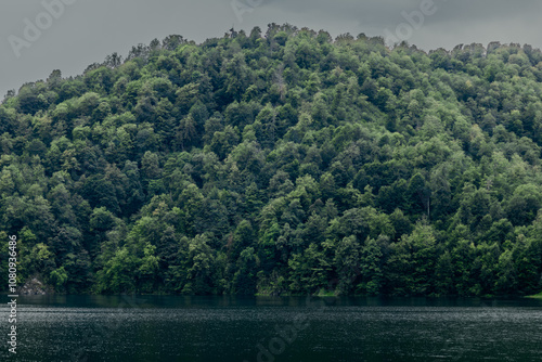 lake in the forest