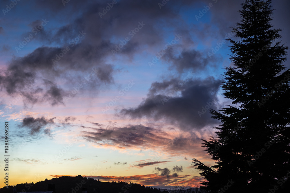 Beautiful sunrise with colorful sky with clouds and pine tree on the side Beautiful sunrise with colorful sky with clouds and pine tree on the side