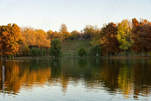 Wallpaper Mural autumn in the park, Tineretului Park, Bucharest City, Romania  Torontodigital.ca