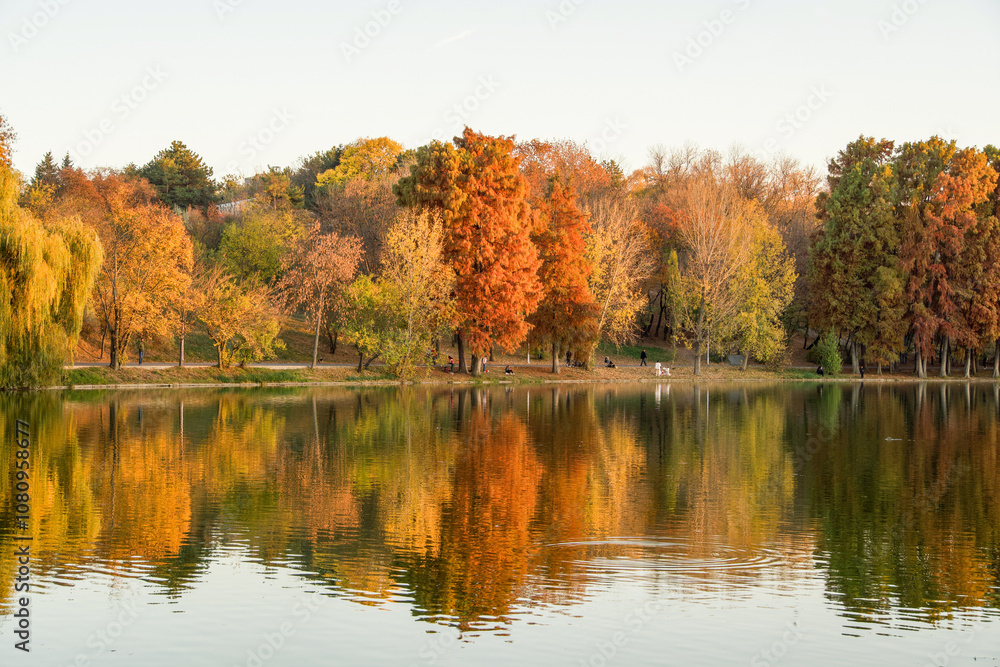 autumn in the park, Tineretului Park, Bucharest City, Romania autumn in the park, Tineretului Park, Bucharest City, Romania