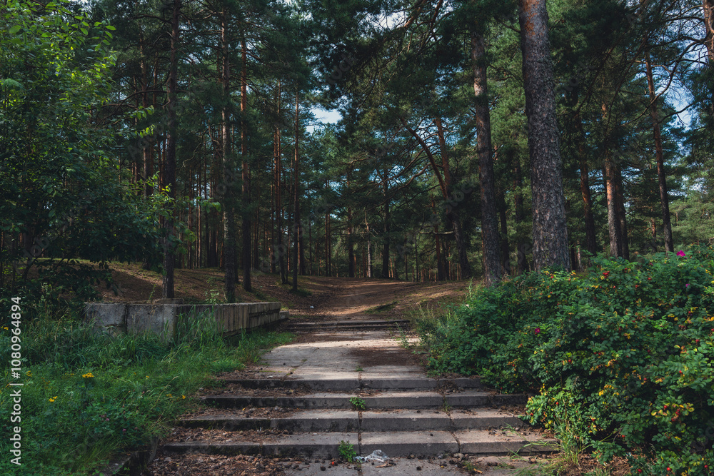 Obraz premium Concrete steps leading into a forested path