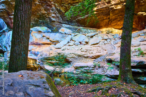 Serene Woodland Stairs Hocking Hills Ohio Morning Tranquility photo