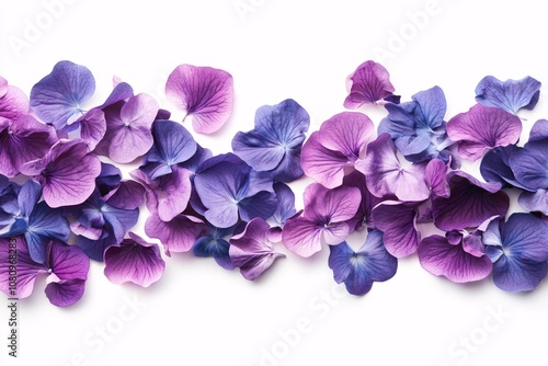 Wallpaper Mural Purple Hydrangea Petals on White Background: A Delicate Floral Pattern Torontodigital.ca