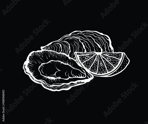 Vector illustration of oysters