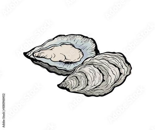 Vector illustration of oysters