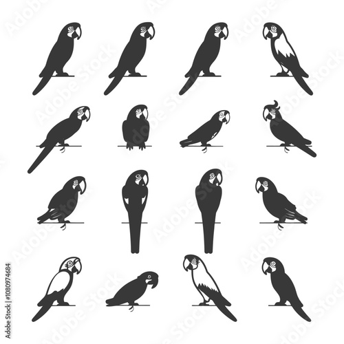 A Collection of 14 Black and White Parrot Silhouettes