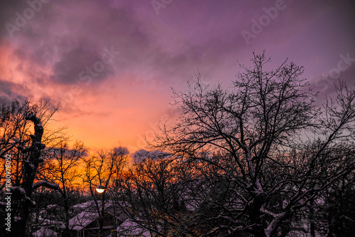 Sunset with trees in front and a purple sky behind