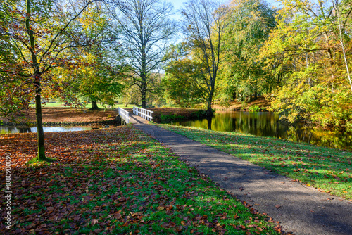 Autunno nel Parco a L'Aia, Den Haag, Paesi Bassi