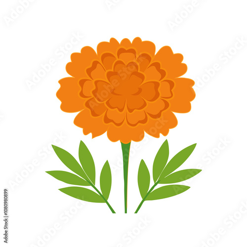 A detailed marigold flower illustration with layered petals and vivid hues, ideal for nature-inspired designs and floral art projects.