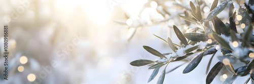 Olive branches in snow with bright bokeh lights. Horizontal background with atmospheric winter landscape for christmas greeting cards with space for text.