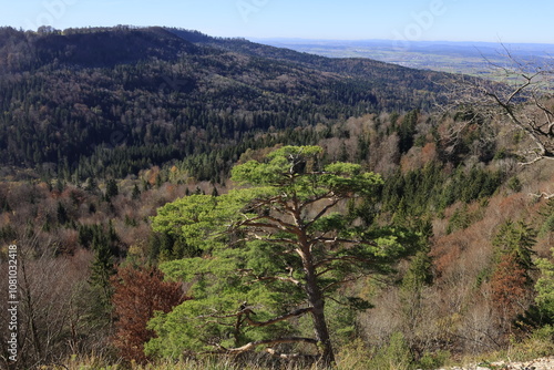 Wanderung am Albtrauf photo