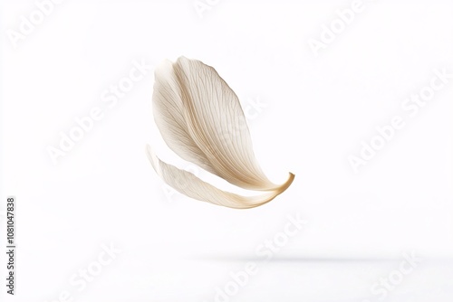 Delicate White Petal Floating in Air: Minimalist Botanical Photography